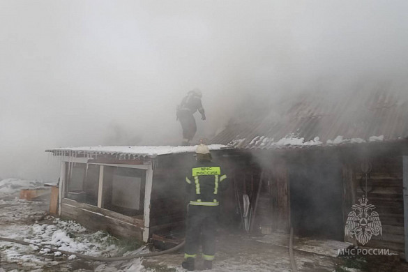 От пожара в Палехском районе телята и коровы не пострадали